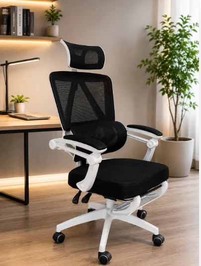 Ghế Công Thái Học LX18