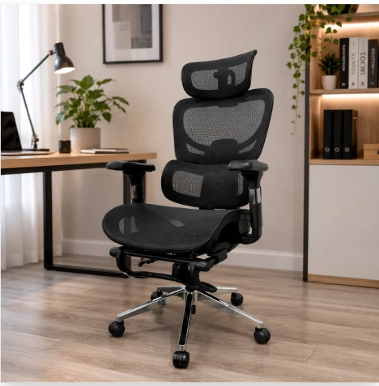 Ghế Công Thái Học LX25