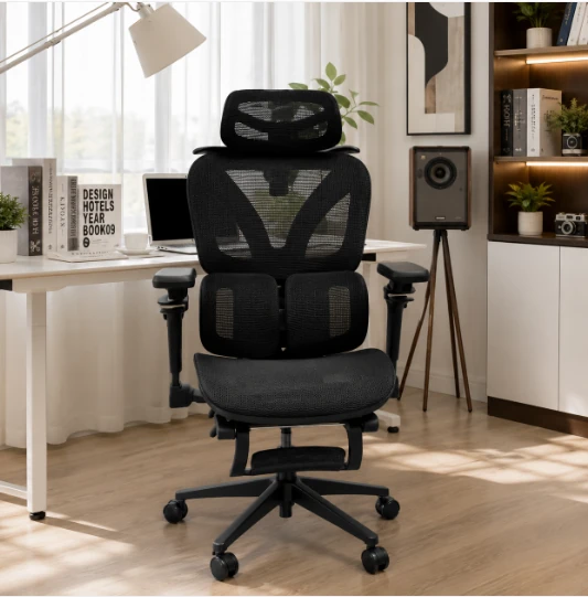 Ghế Công Thái Học LX29