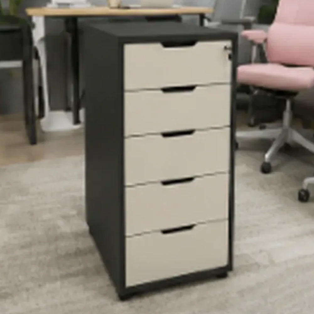 Hộc Tủ IKEA 5 Ngăn Tiện Lợi - TP52