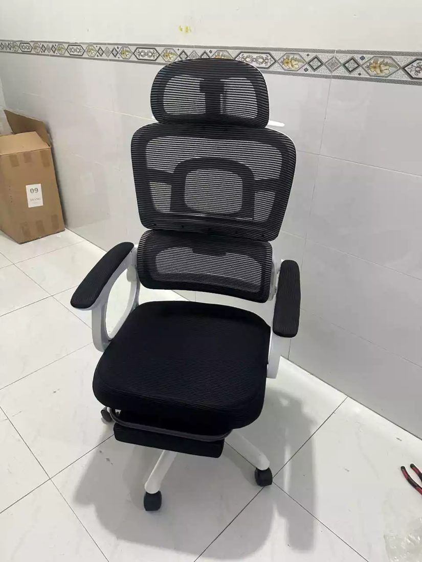 Ghế Công Thái Học LX09 Cao Cấp