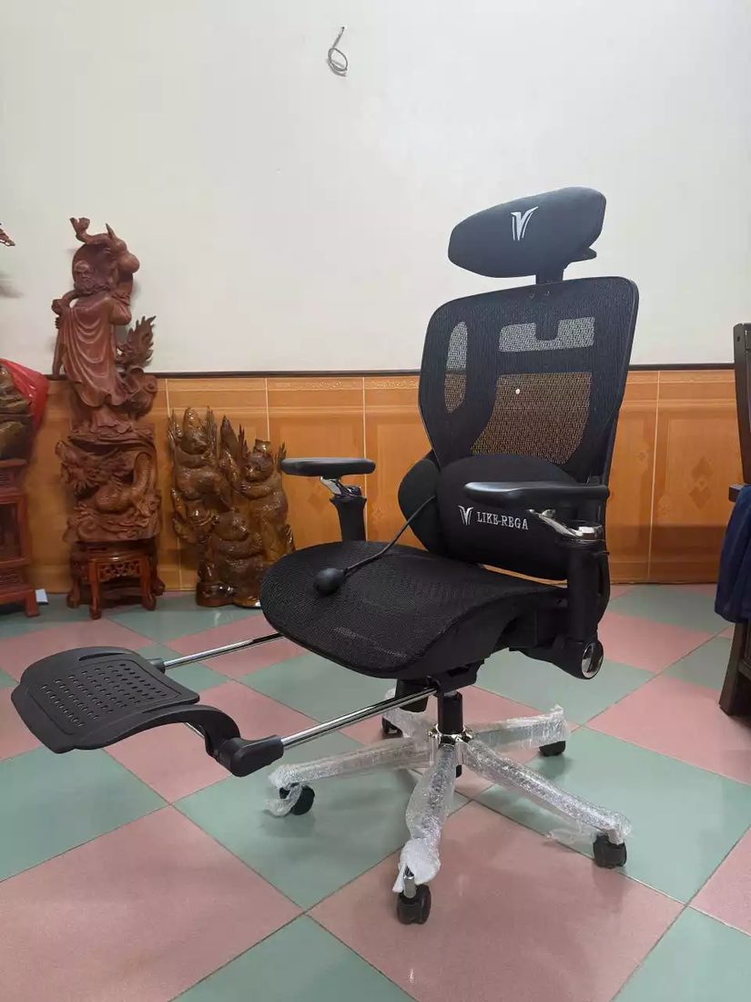 Ghế Công Thái Học LX24
