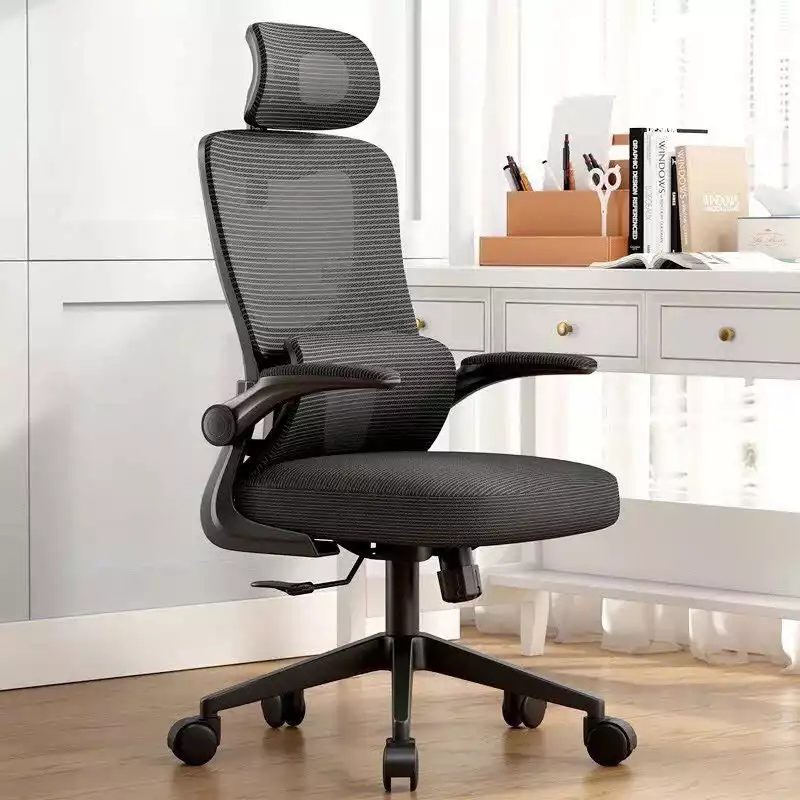 Ghế Công Thái Học LX418